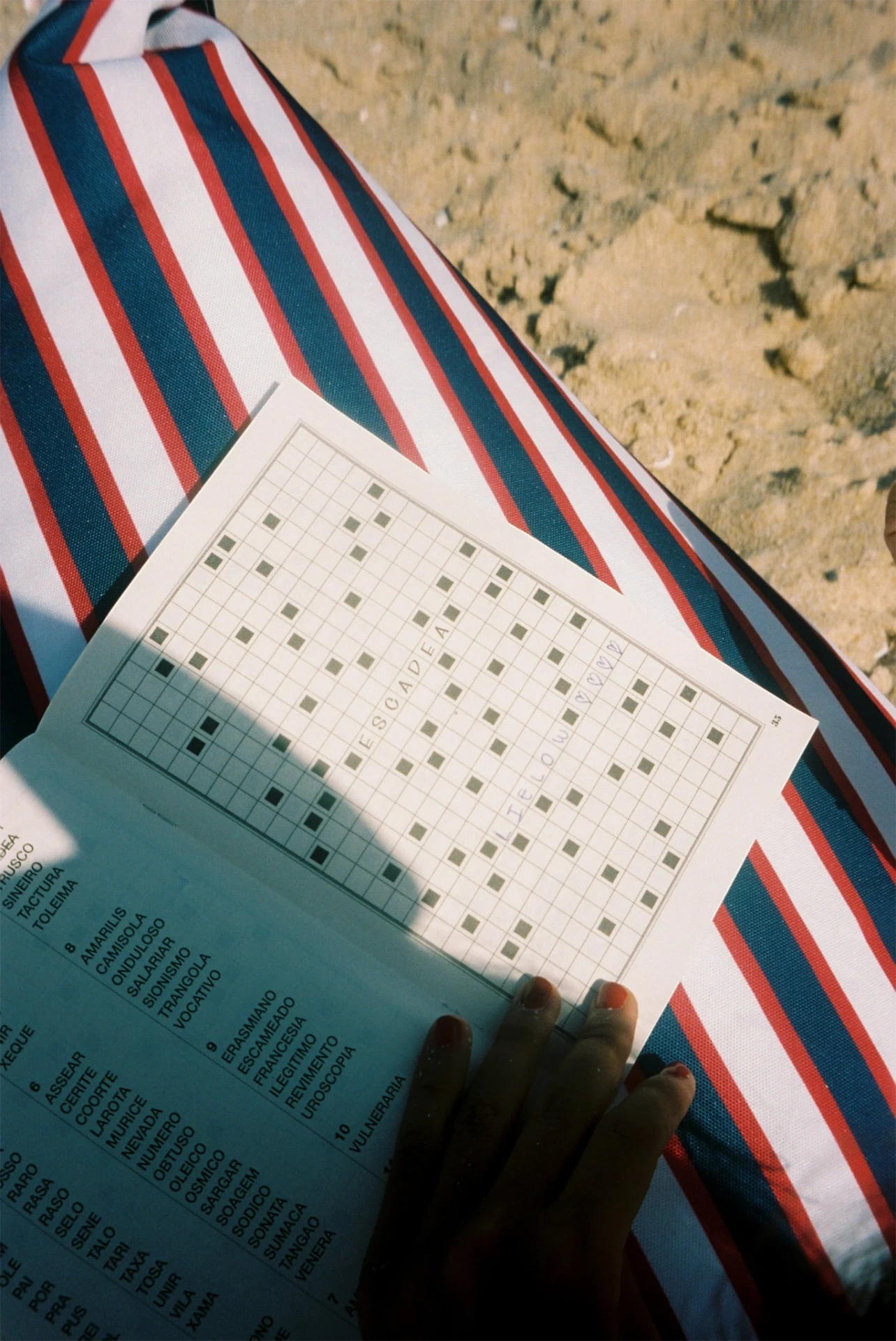 LIELOW Montauk — close-up of the striped canvas with a crossword book resting on it